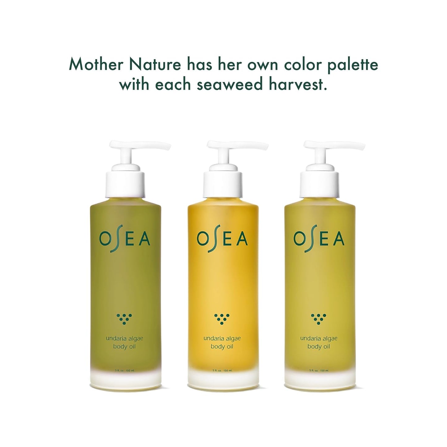 OSEA Undaria Algae™ Body Oil 5 Oz - after Shower Body Oil - Non-Greasy Body Serum & Fast Absorbing Skincare - Clean Beauty & Vegan Seaweed Body Moisturizer for Dry Skin