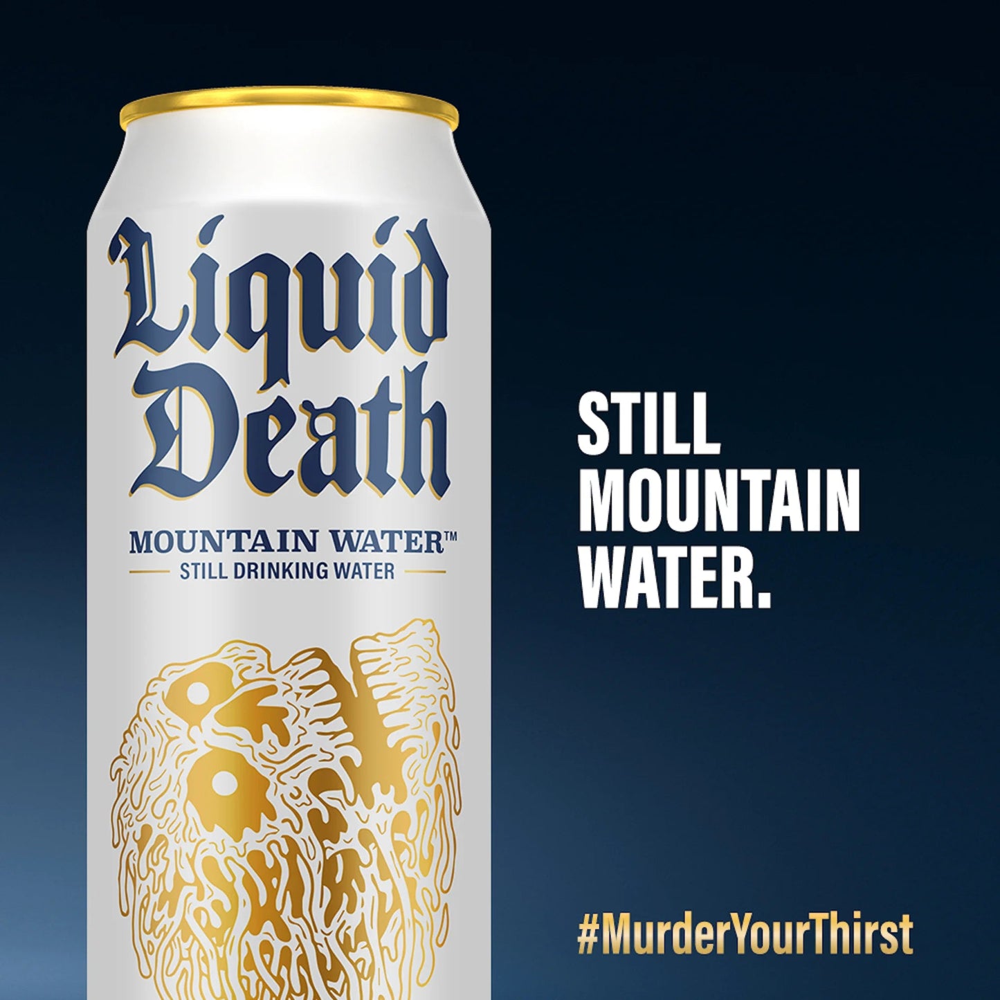 Mountain Water King Size Cans, 19.2 Oz (8-Pack)